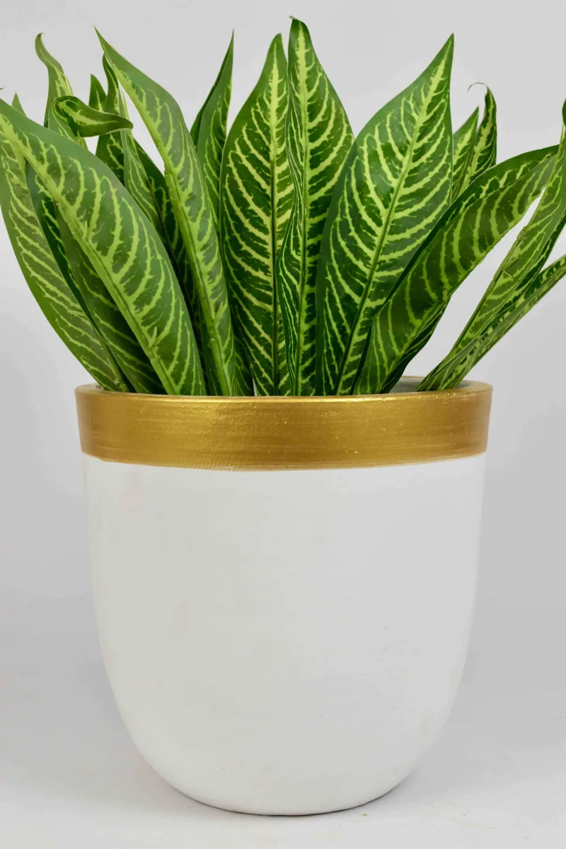 Classic Ceramic Planter — 8" Dia × 8" Height — Primary View