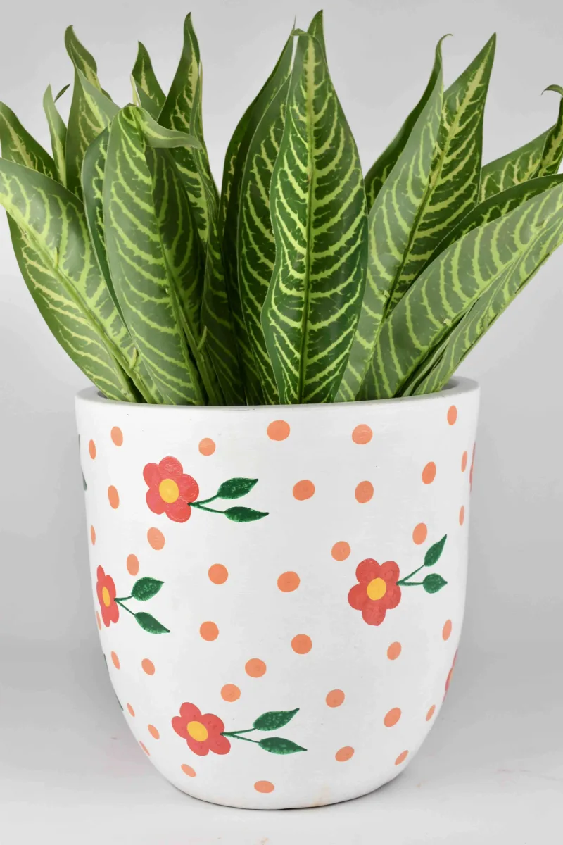 Classic Ceramic Planter — 15" Dia × 6.5" Height — Primary View