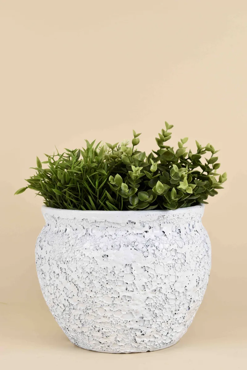Classic Ceramic Planter — 6" Dia × 6" Height — Primary View