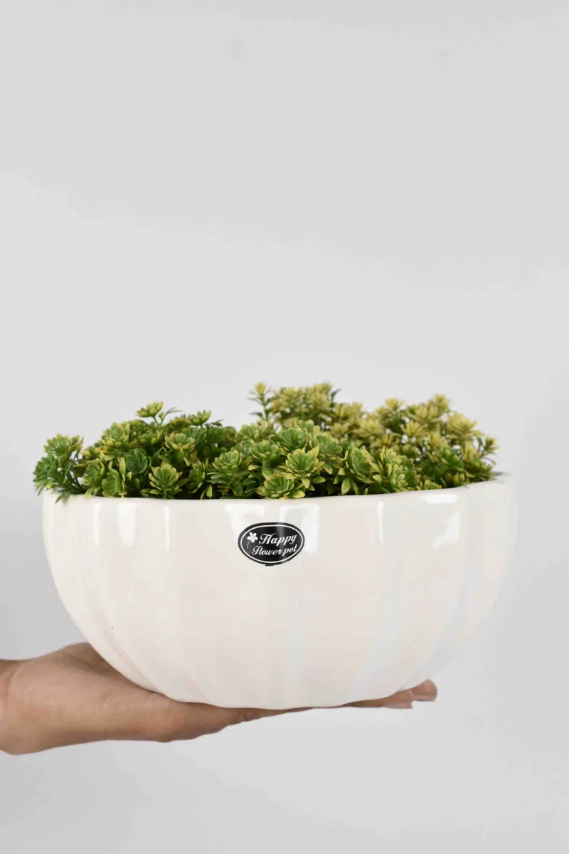 Classic Ceramic Planter — 10" Dia × 10" Height — Primary View