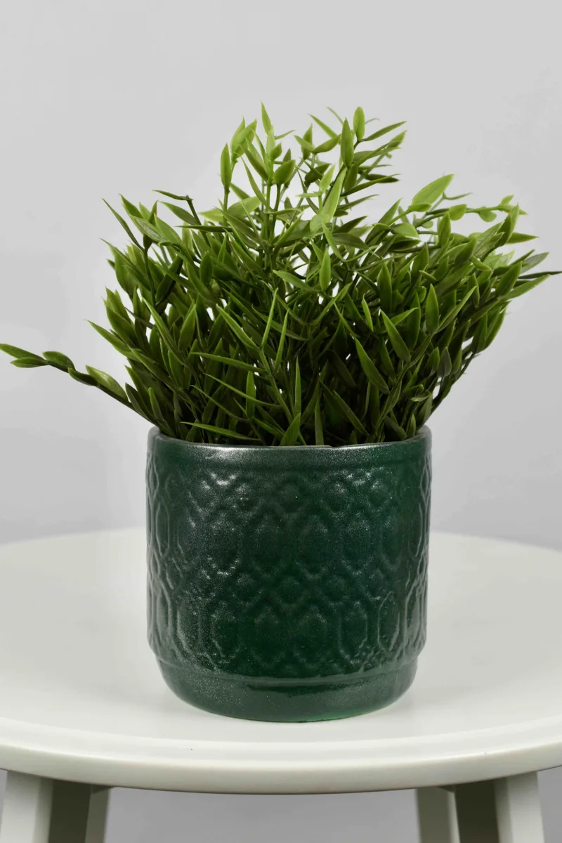 Classic Ceramic Planter — 10" Dia × 8.5" Height — Primary View