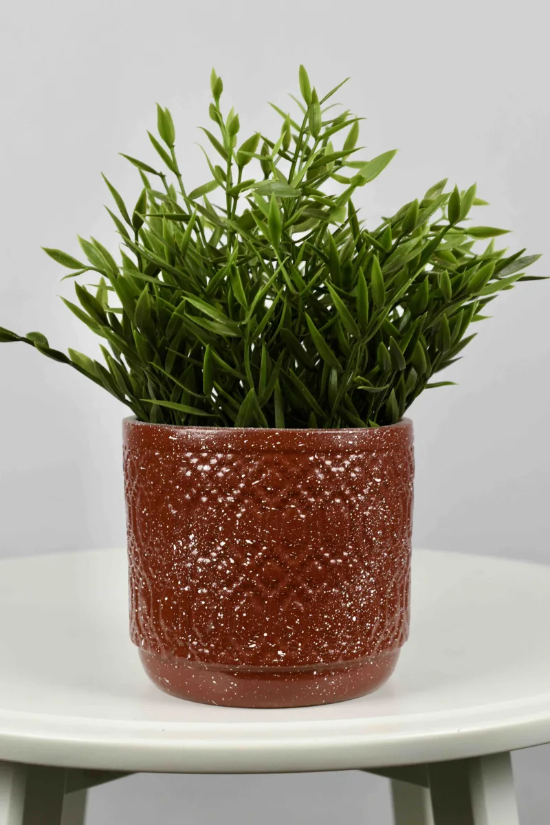Classic Ceramic Planter — 12" Dia × 12" Height — Primary View