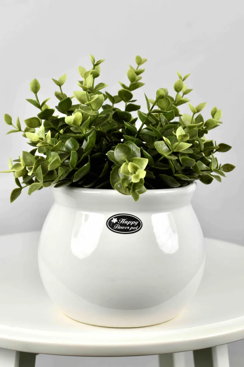 Classic Ceramic Planter — 10" Dia × 8" Height — Primary View