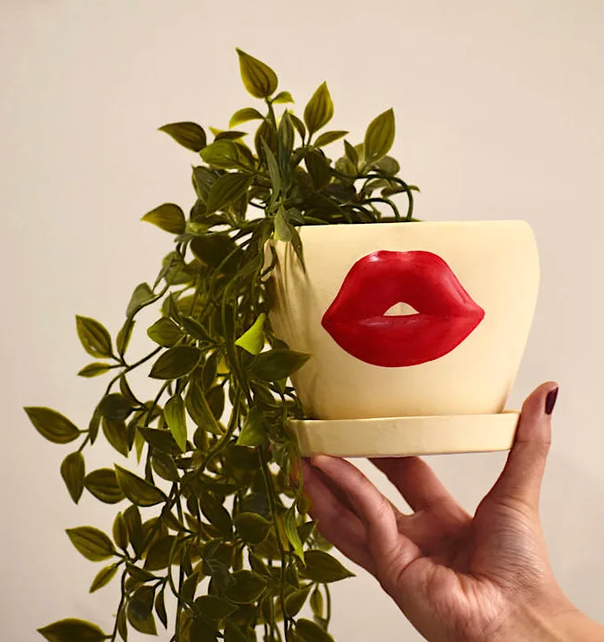 Classic Ceramic Planter — 5" Dia × 5" Height — Primary View