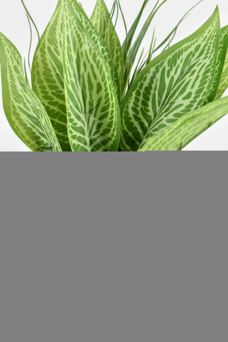 Classic Ceramic Planter — 6" Dia × 5.5" Height — Primary View