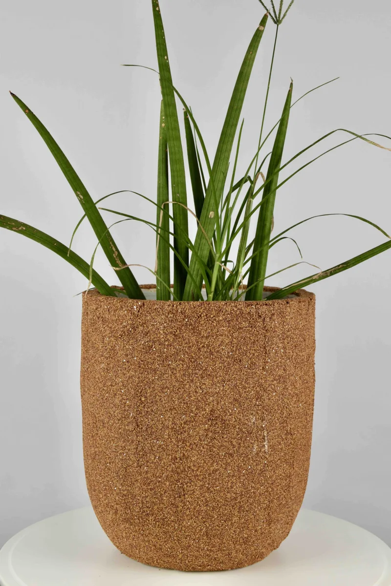 Classic Ceramic Planter — 5" Dia × 5" Height — Primary View