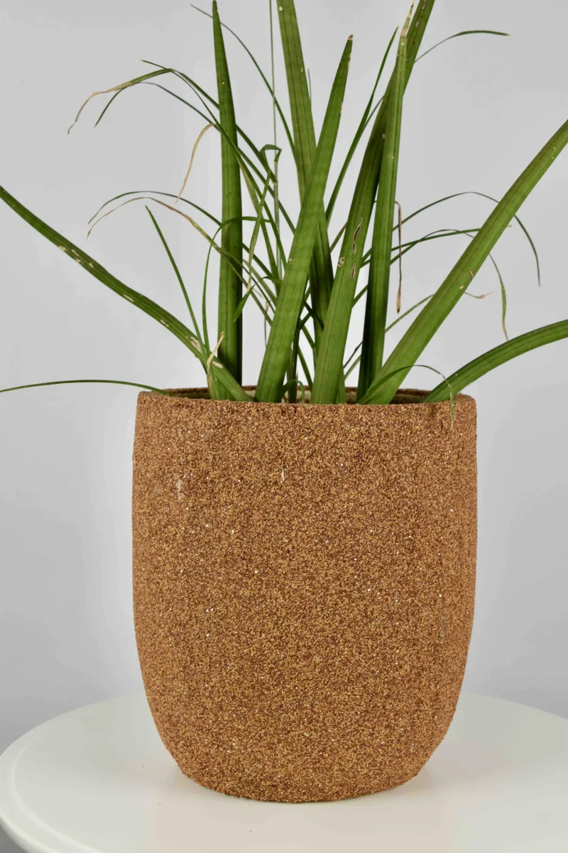 Classic Ceramic Planter — 5" Dia × 4" Height — Primary View