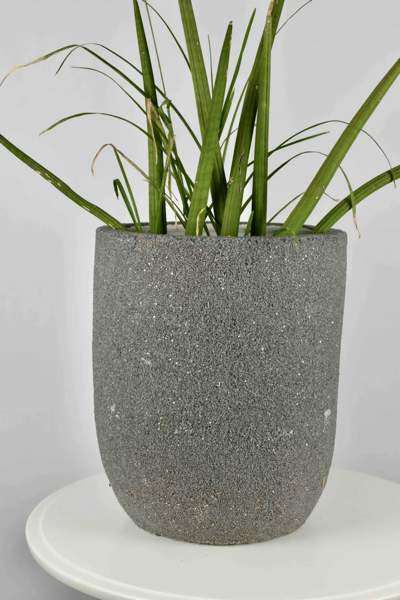 Classic Ceramic Planter — 4" Dia × 3.5" Height — Primary View