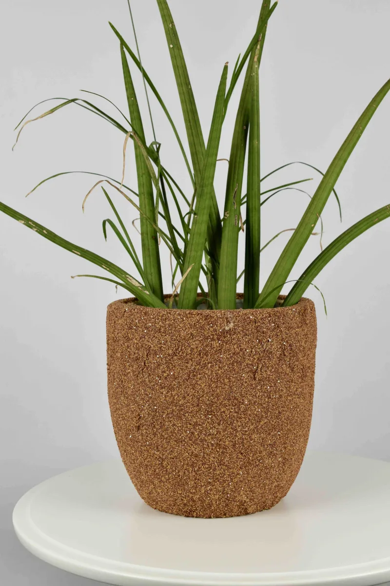 Classic Ceramic Planter — Primary View