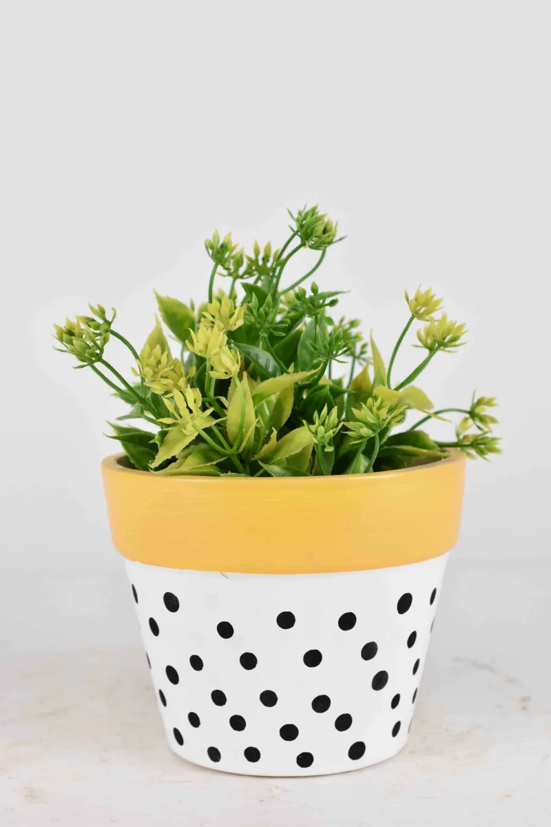 Classic Ceramic Planter — 6.5" Dia × 5.5" Height — Primary View