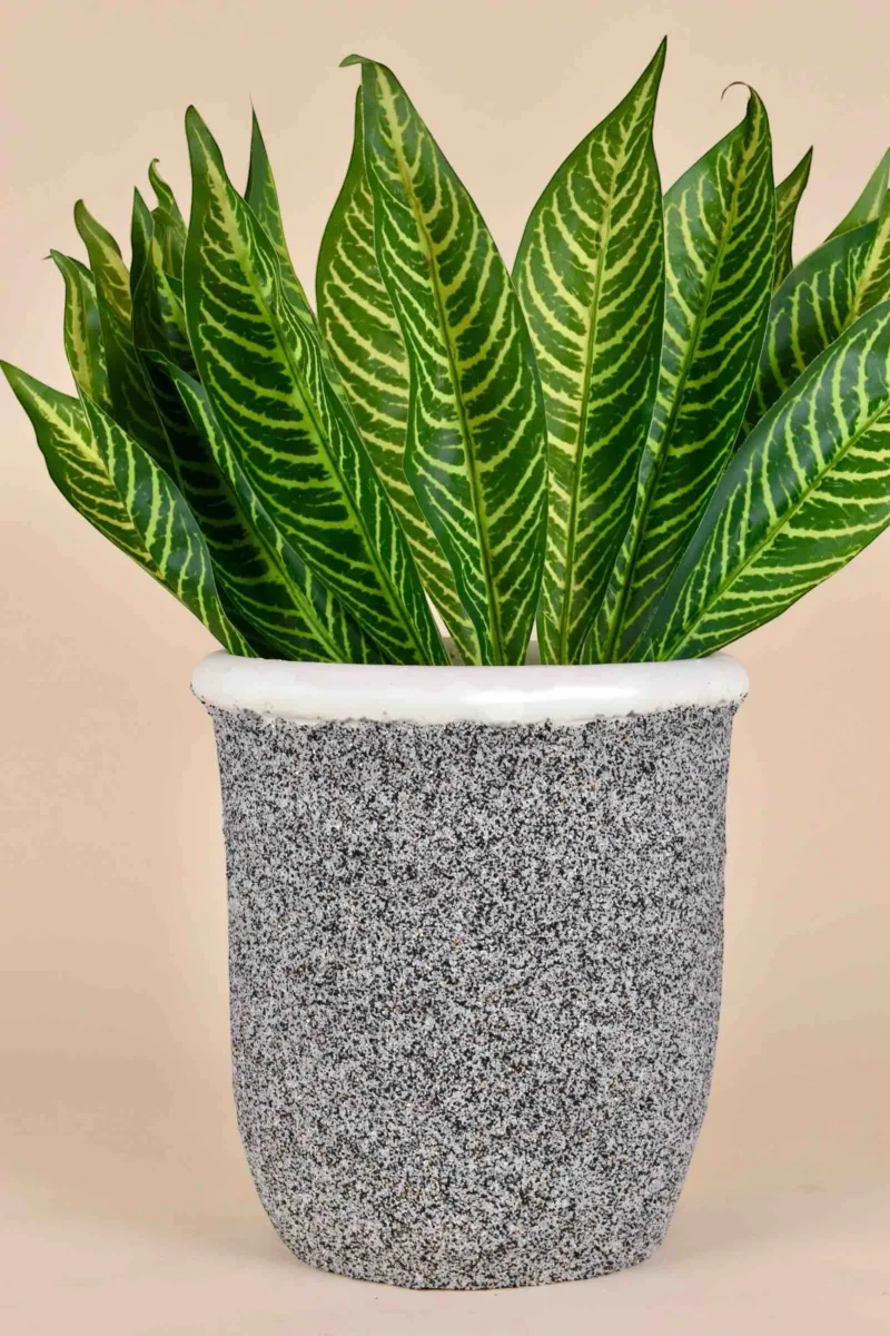 Classic Ceramic Planter — 10" Dia × 7" Height — Primary View