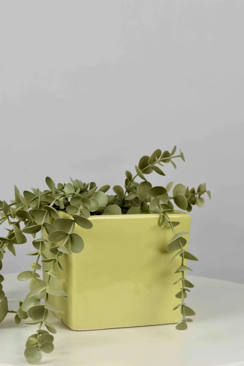 Classic Ceramic Planter — 11" Dia × 13" Height — Primary View