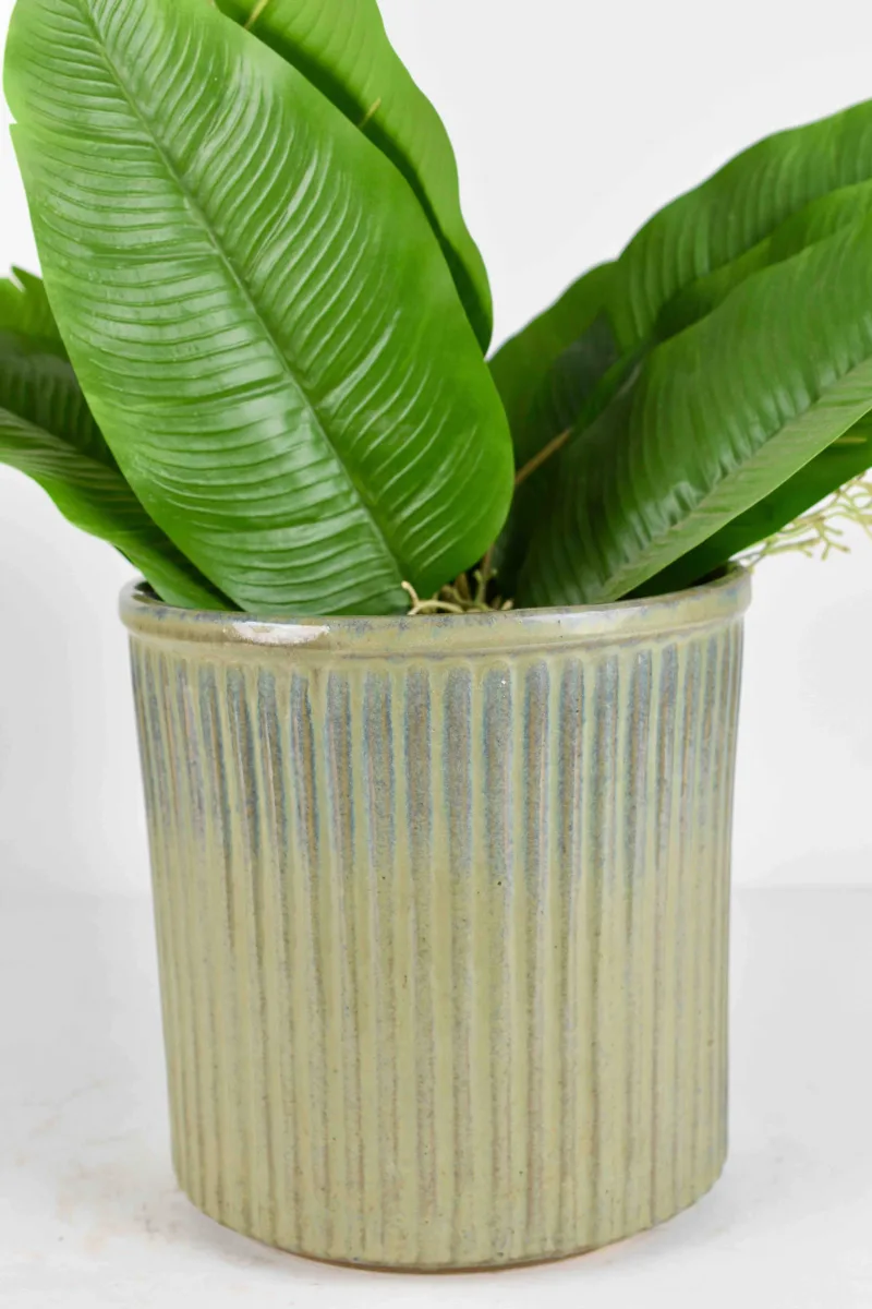 Classic Ceramic Planter — 5.5" Dia × 5.5" Height — Primary View