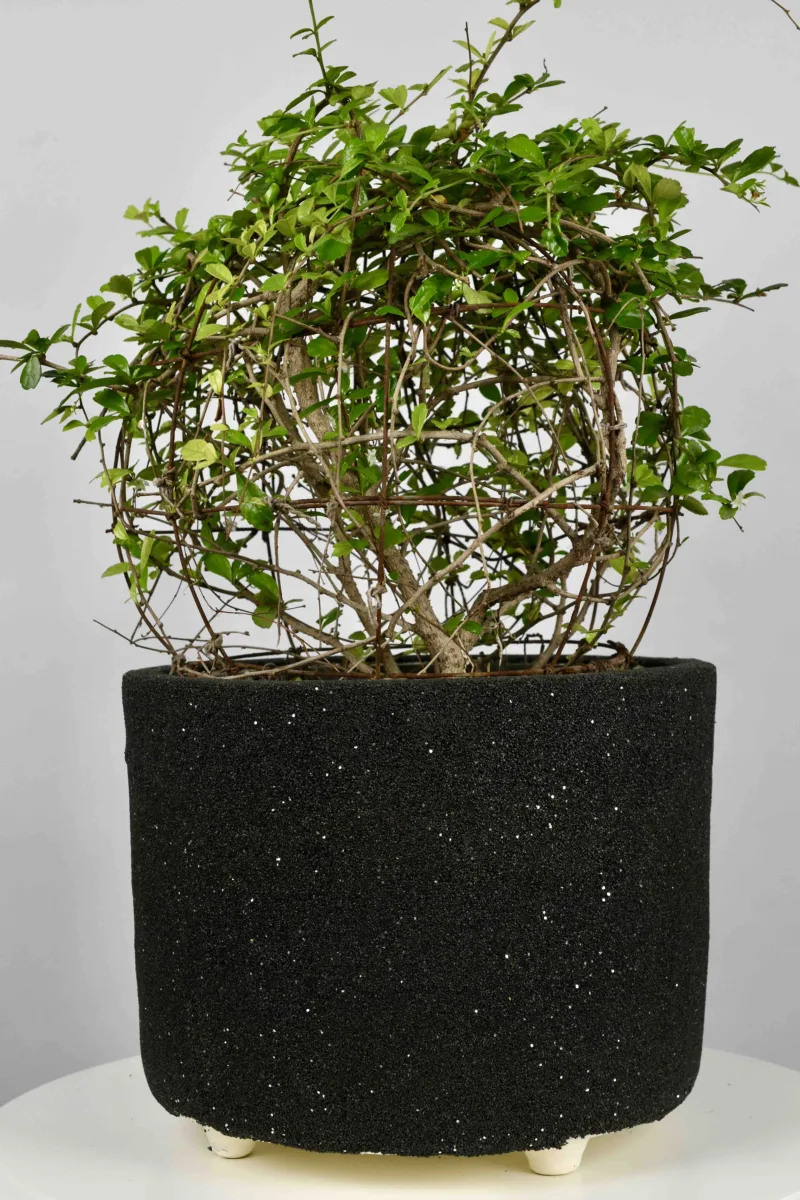 Classic Ceramic Planter — 7" Dia × 7" Height — Primary View