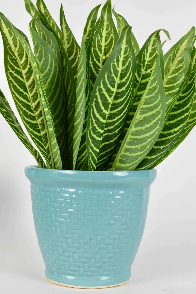 Classic Ceramic Planter — 9" Dia × 6.5" Height — Primary View