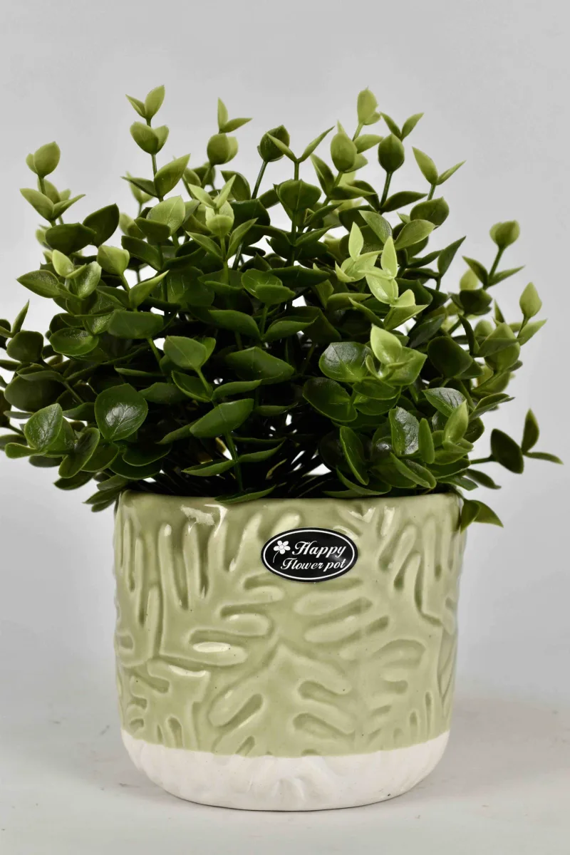 Classic Ceramic Planter — 8" Dia × 5" Height — Primary View