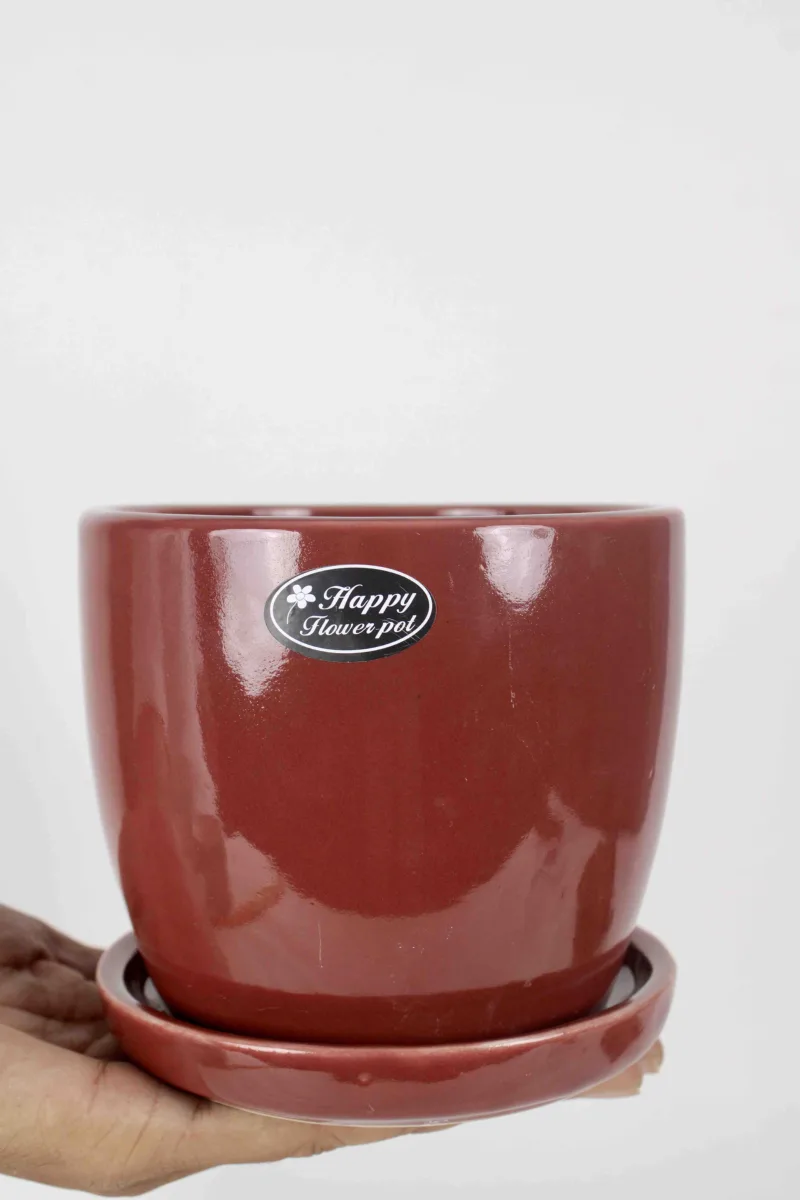 Classic Ceramic Planter — 5" Dia × 4" Height — Primary View