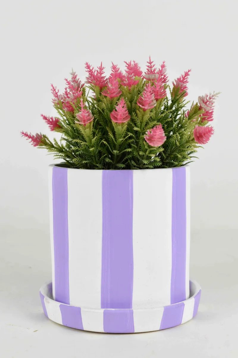 Classic Ceramic Planter — 5" Dia × 5.5" Height — Primary View