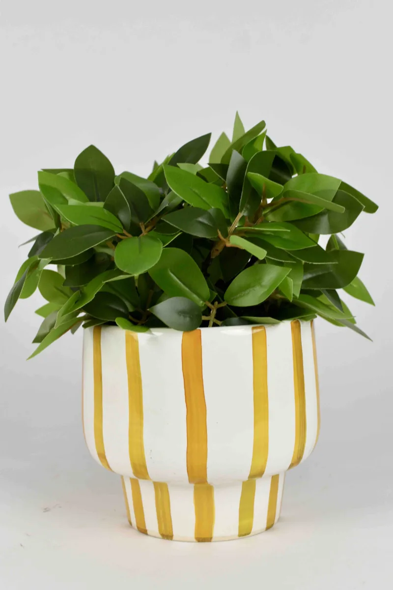 Classic Ceramic Planter — 7" Dia × 7" Height — Primary View