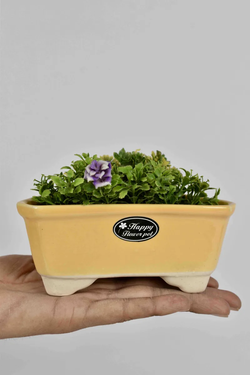 Classic Ceramic Planter — 5" Dia × 5" Height — Primary View