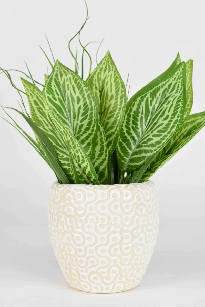 Classic Ceramic Planter — 5" Dia × 5" Height — Primary View