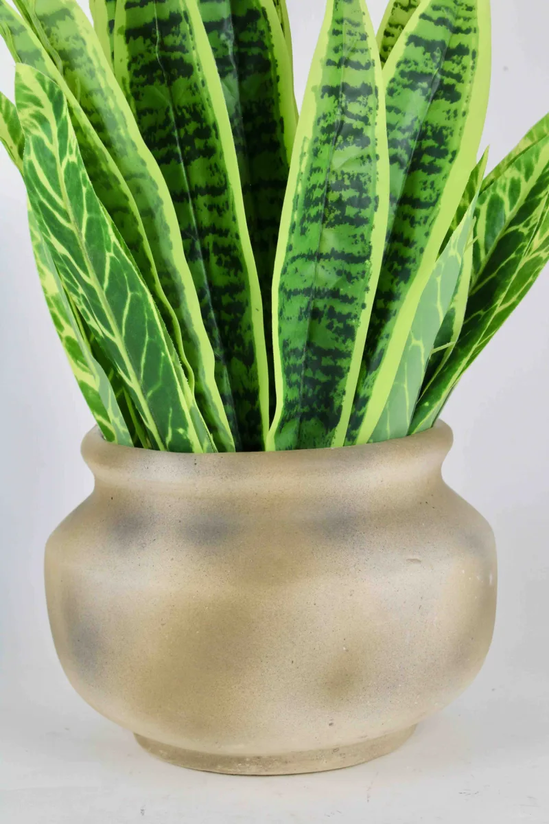 Classic Ceramic Planter — 5.5" Dia × 5" Height — Primary View