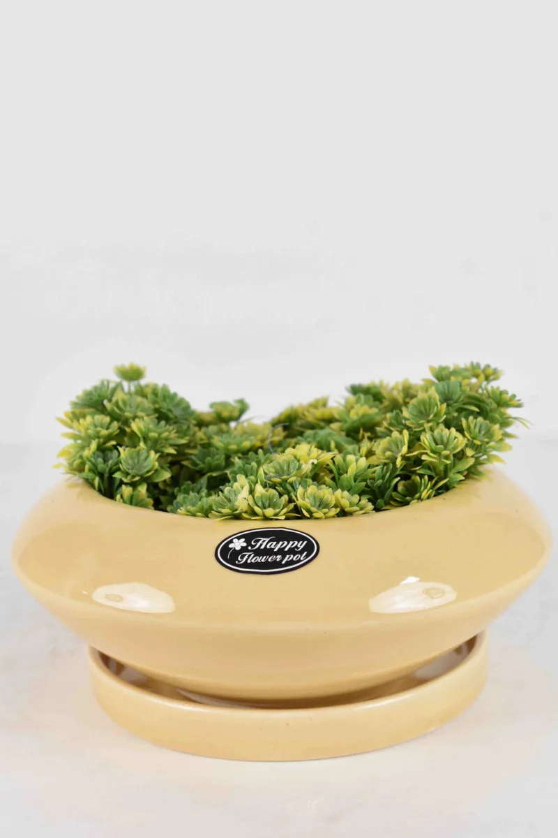 Classic Ceramic Planter — 5" Dia × 4.5" Height — Primary View