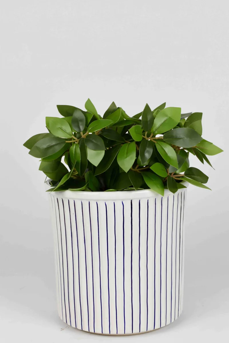 Classic Ceramic Planter — 4.5" Dia × 4" Height — Primary View