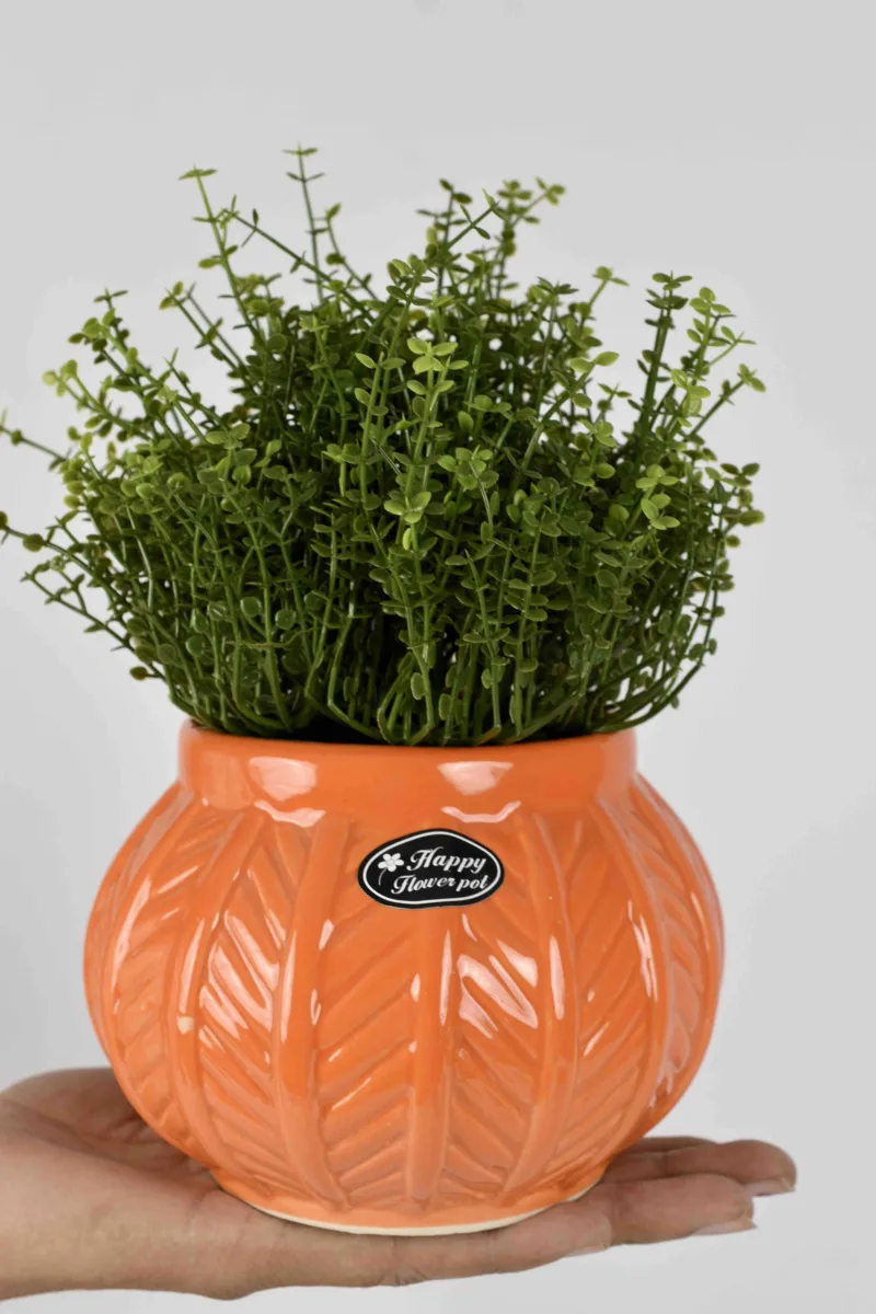 Classic Ceramic Planter — 5.5" Dia × 3" Height — Primary View