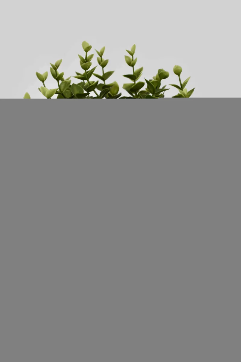 Classic Ceramic Planter — 6" Dia × 5" Height — Primary View