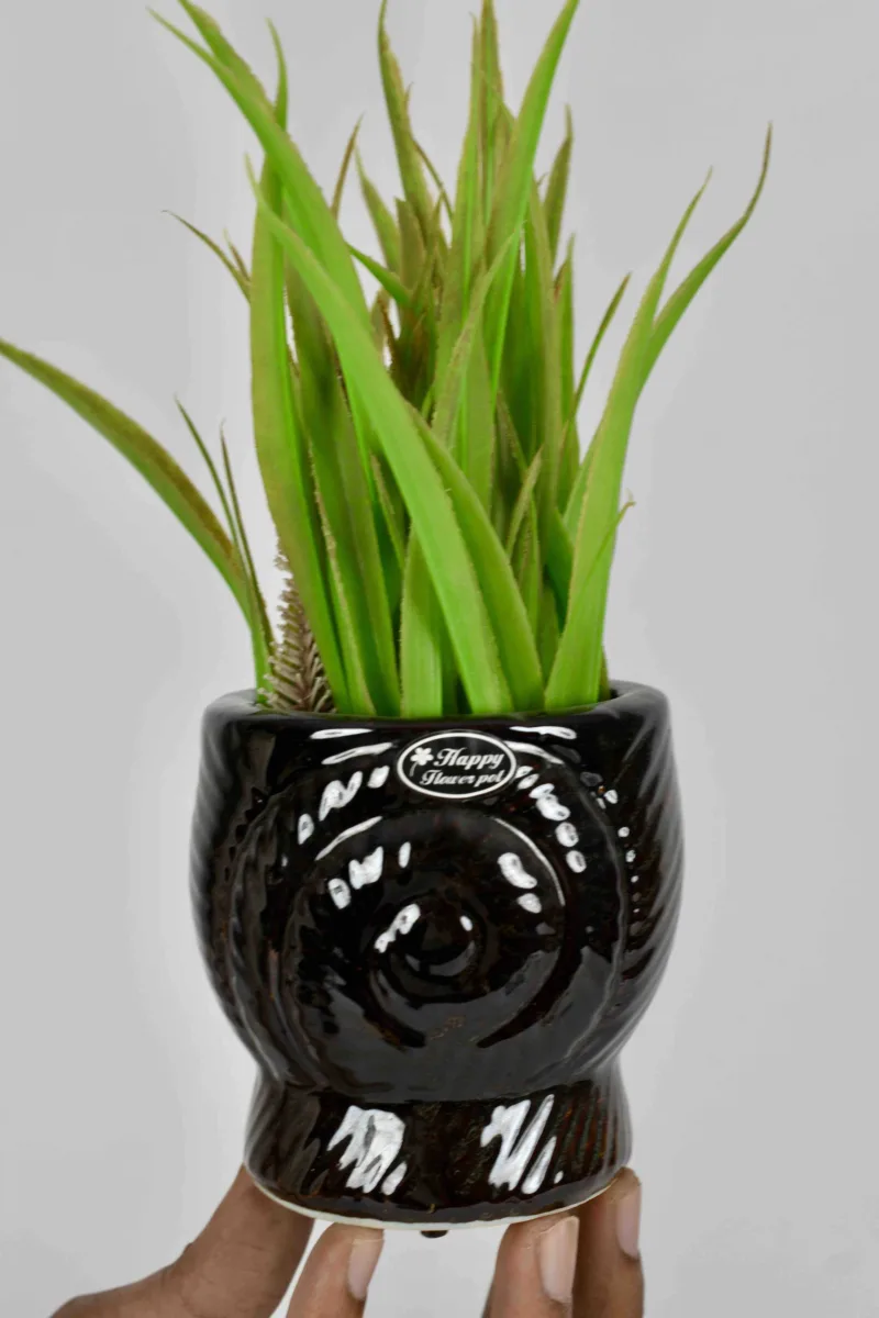 Classic Ceramic Planter — 7.5" Dia × 7.5" Height — Primary View