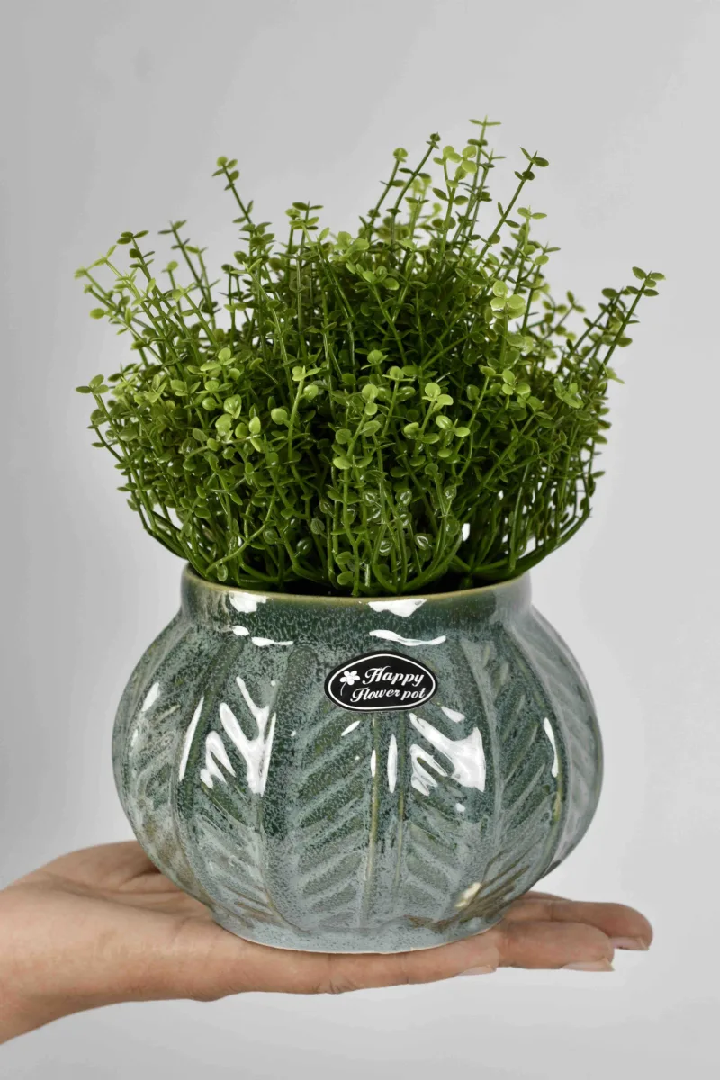 Classic Ceramic Planter — 6" Dia × 4.5" Height — Primary View