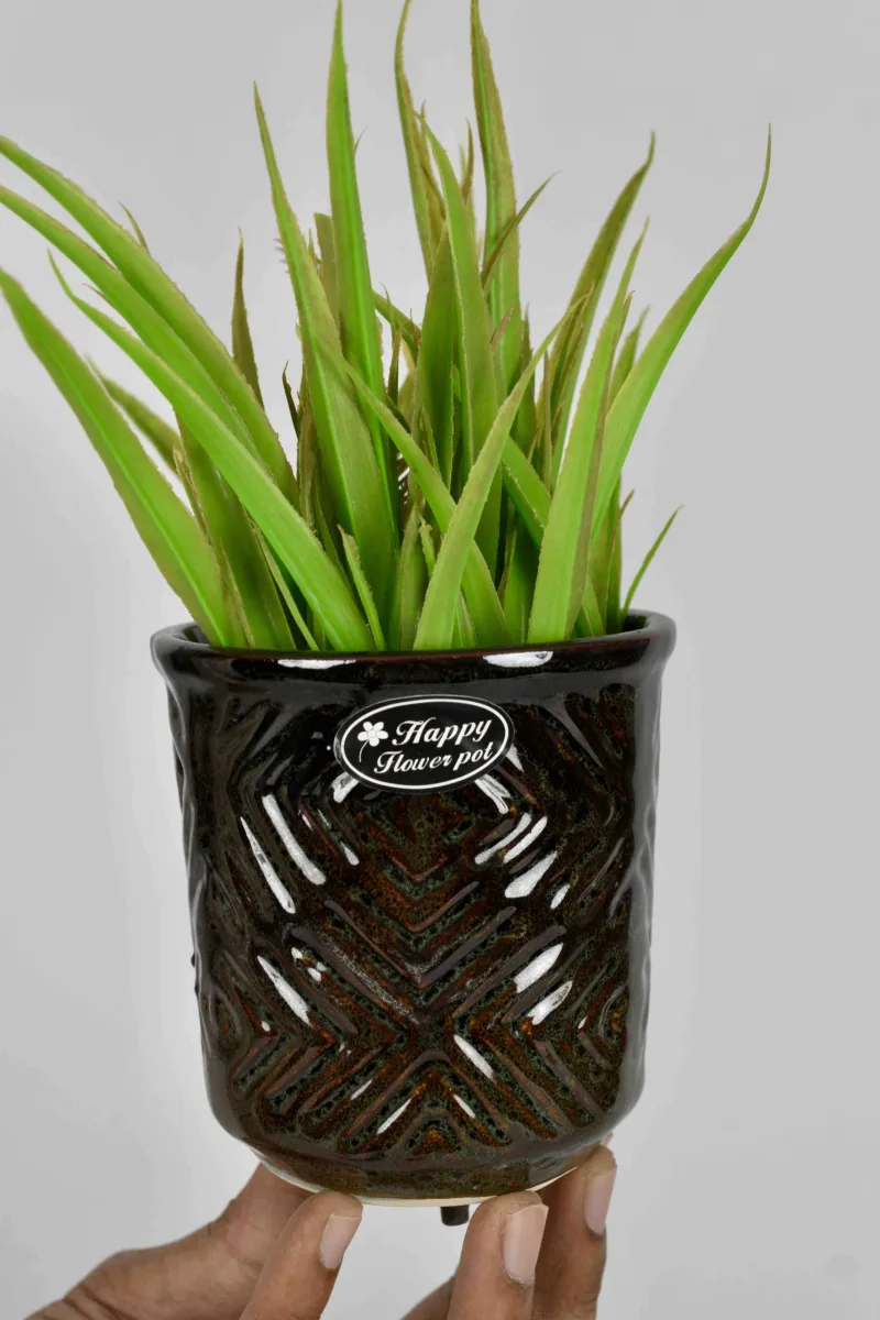 Classic Ceramic Planter — 5" Dia × 5.5" Height — Primary View