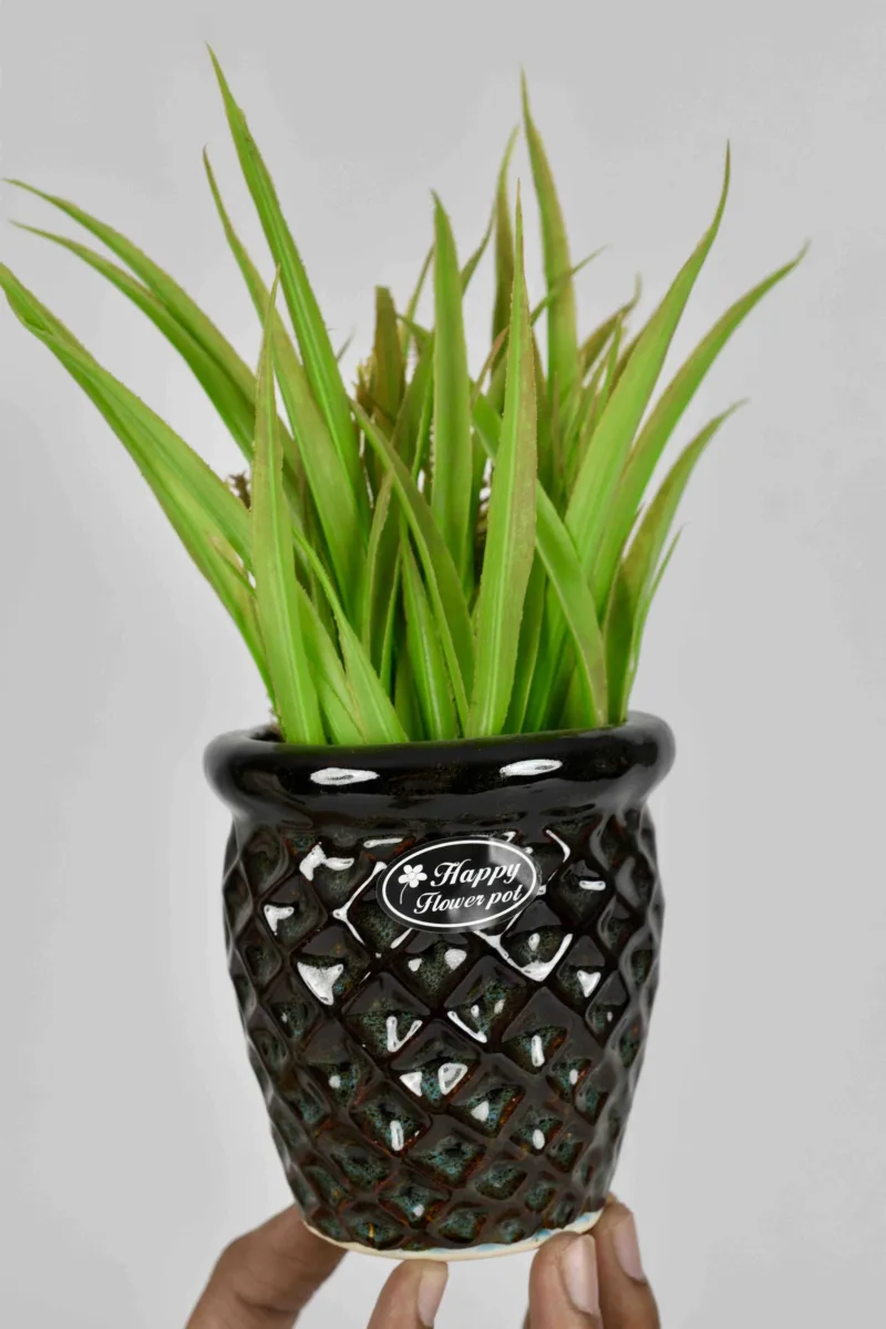 Classic Ceramic Planter — 5" Dia × 4" Height — Primary View