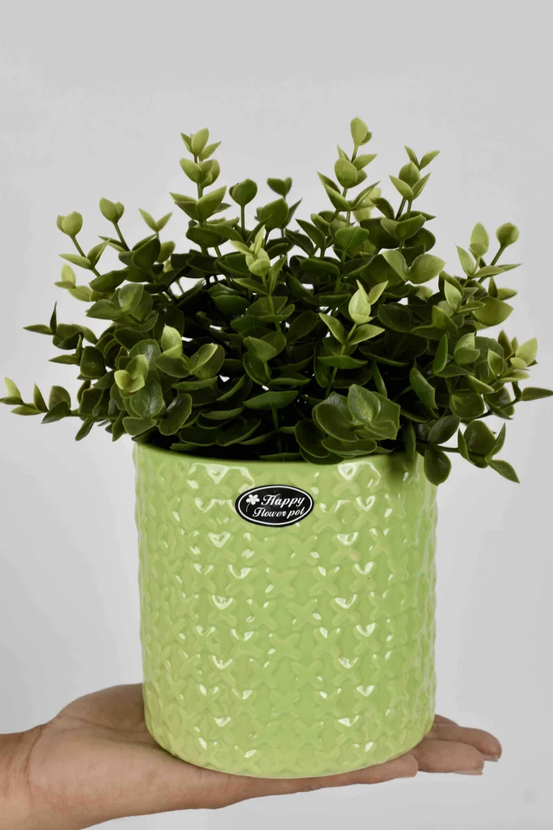 Classic Ceramic Planter — 6" Dia × 4.5" Height — Primary View