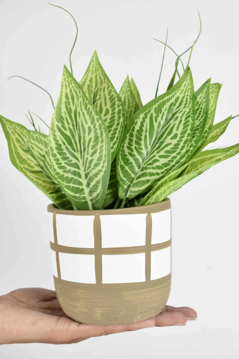 Classic Ceramic Planter — Primary View