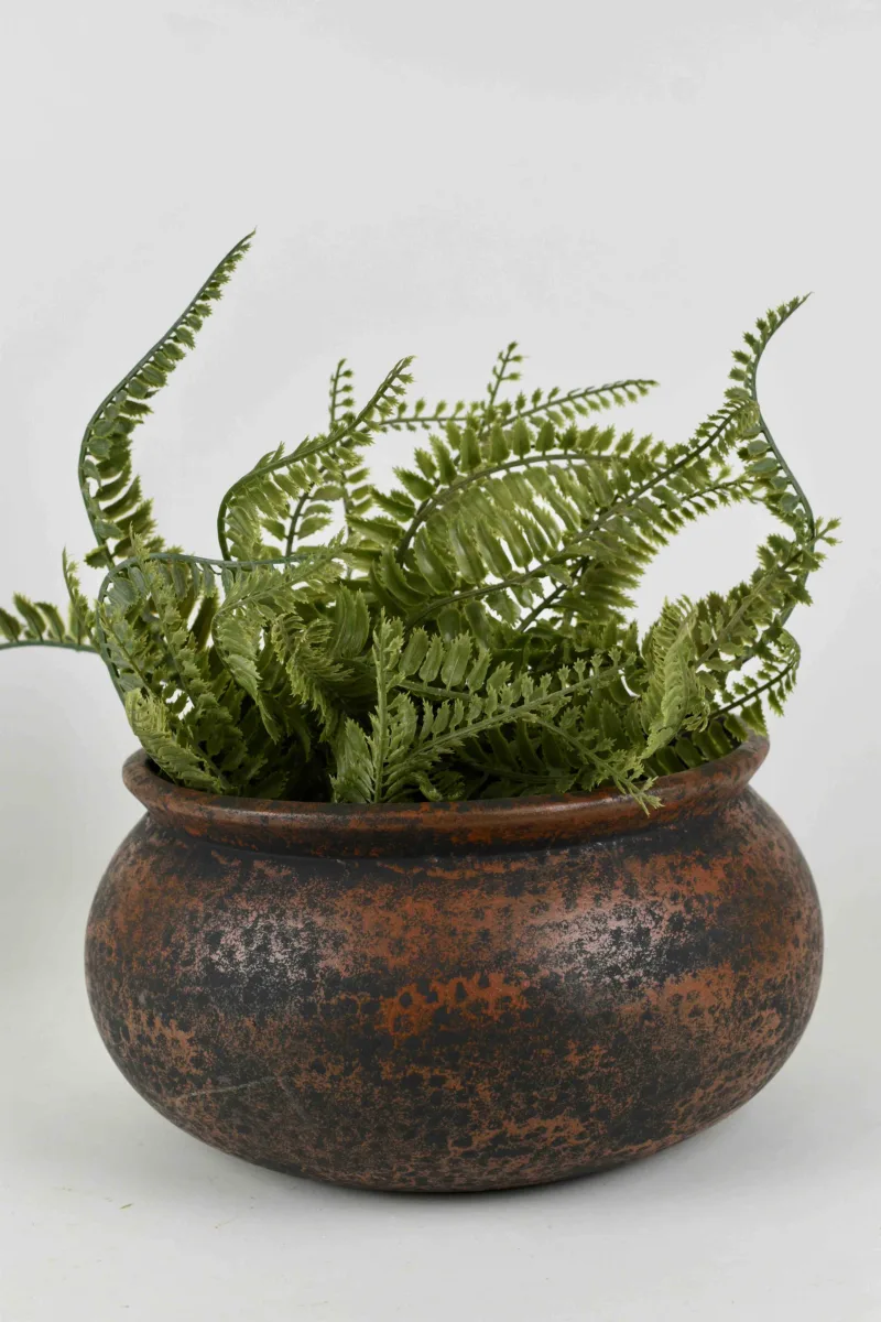 Classic Ceramic Planter — 5.5" Dia × 5" Height — Primary View