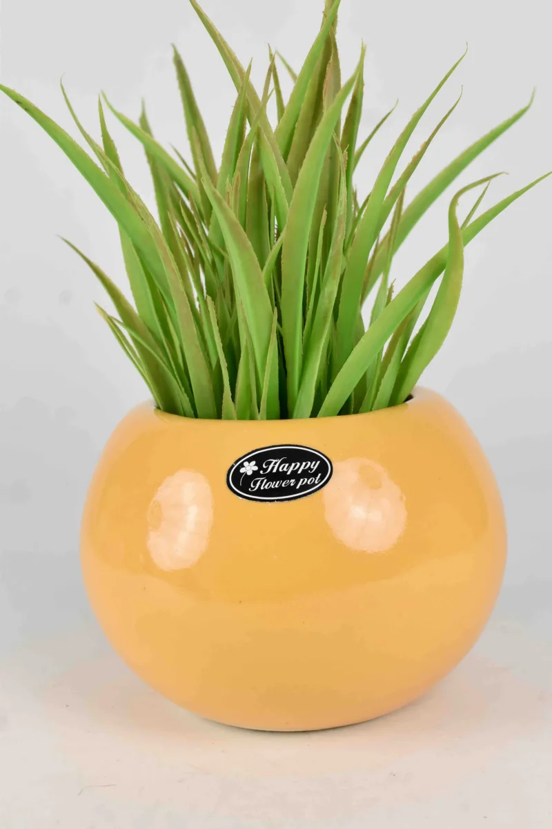 Classic Ceramic Planter — 5.5" Dia × 5" Height — Primary View