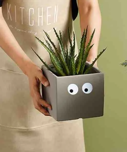 Classic Ceramic Planter — 5" Dia × 5.5" Height — Primary View