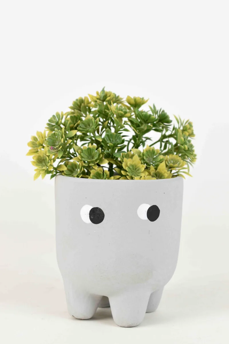 Classic Ceramic Planter — 10" Dia × 5" Height — Primary View