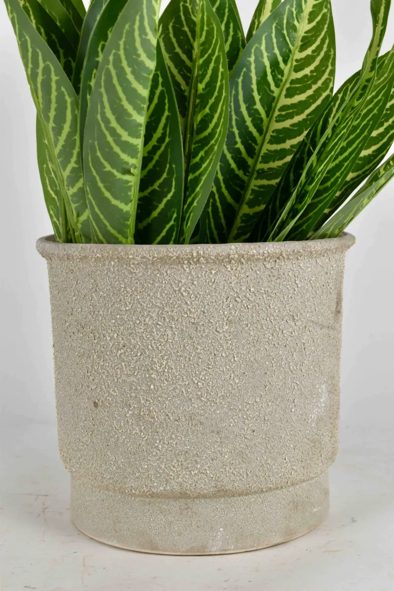 Classic Ceramic Planter — 5" Dia × 4.5" Height — Primary View