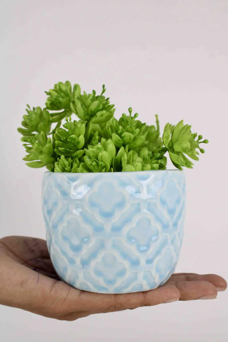 Classic Ceramic Planter — 4.5" Dia × 4" Height — Primary View