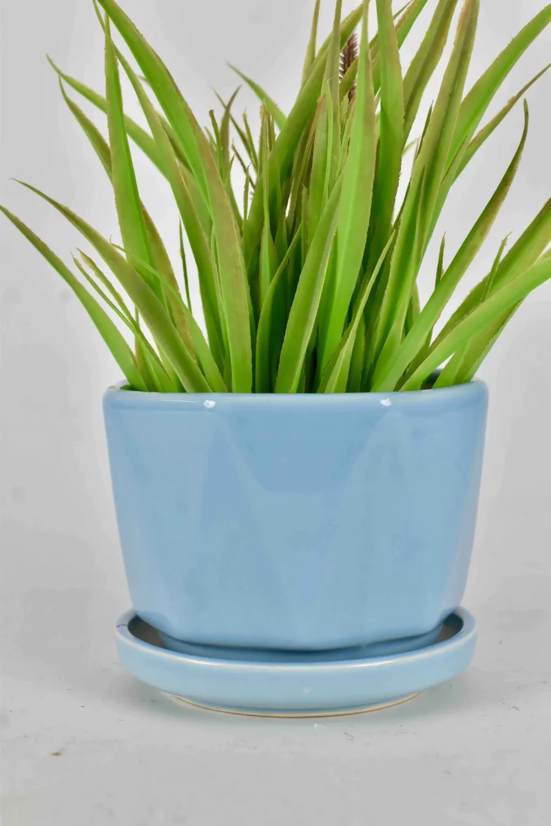 Classic Ceramic Planter — 4.5" Dia × 4" Height — Primary View