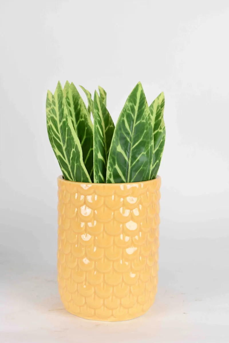 Classic Ceramic Planter — 4" Dia × 3.5" Height — Primary View