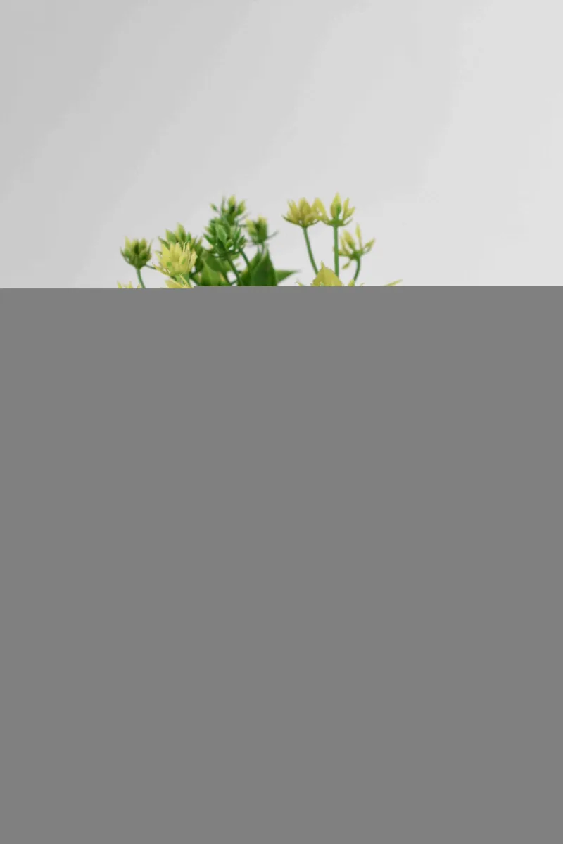 Classic Ceramic Planter — 5" Dia × 4" Height — Primary View