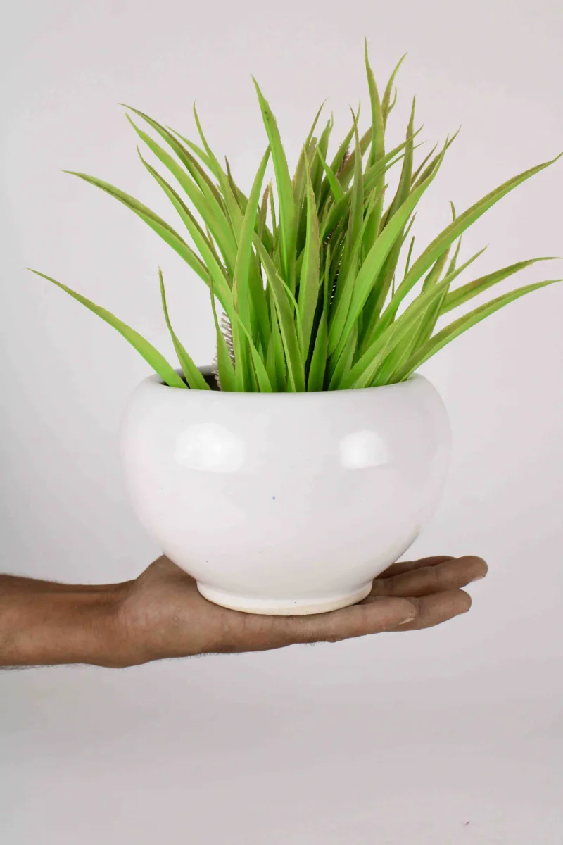 Classic Ceramic Planter — 5.5" Dia × 4.5" Height — Primary View