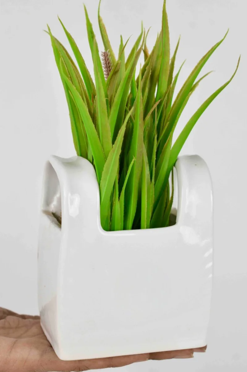 Classic Ceramic Planter — 5" Dia × 4" Height — Primary View