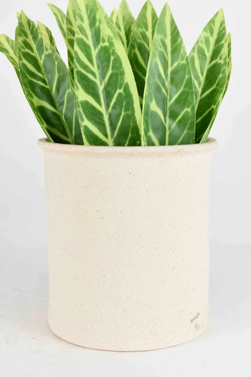 Classic Ceramic Planter — 9" Dia × 6" Height — Primary View