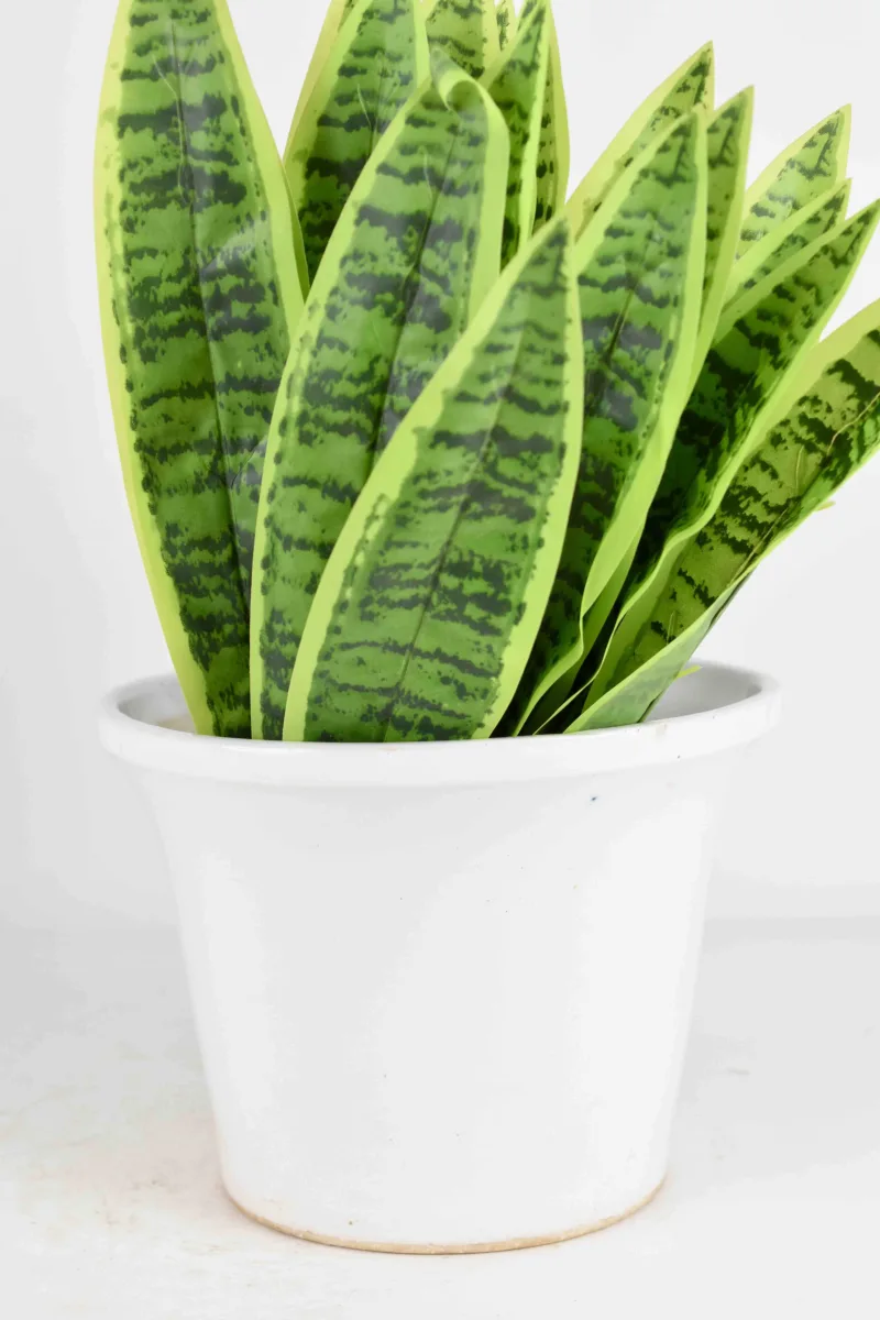 Classic Ceramic Planter — 4" Dia × 5" Height — Primary View