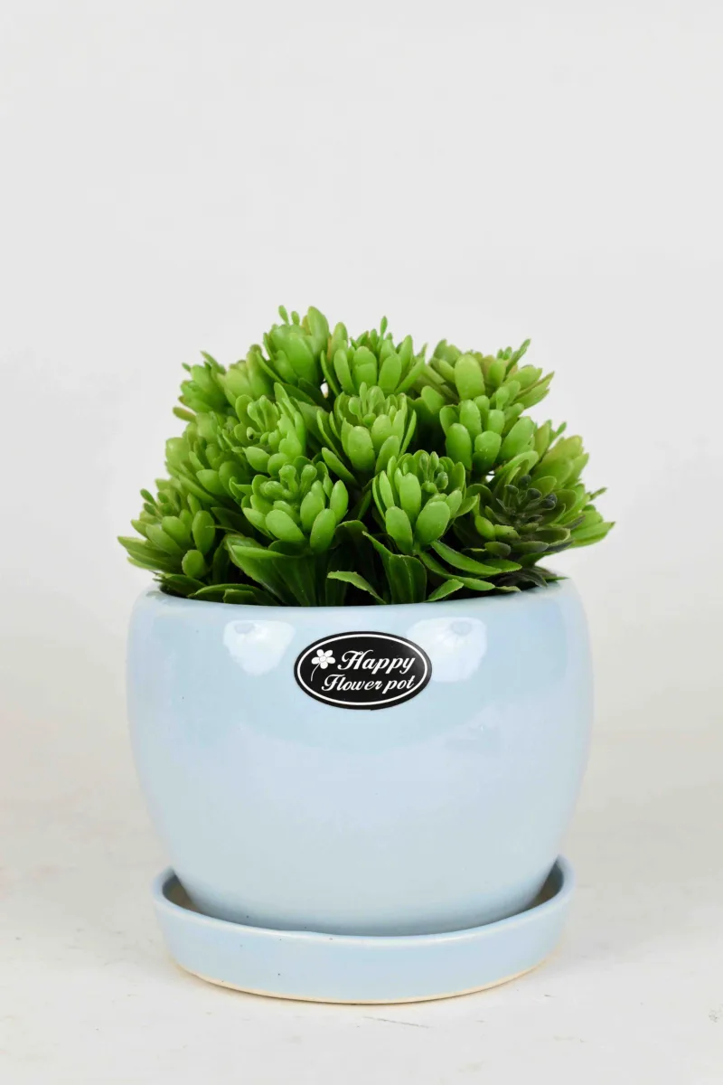 Classic Ceramic Planter — 7.5" Dia × 7.5" Height — Primary View